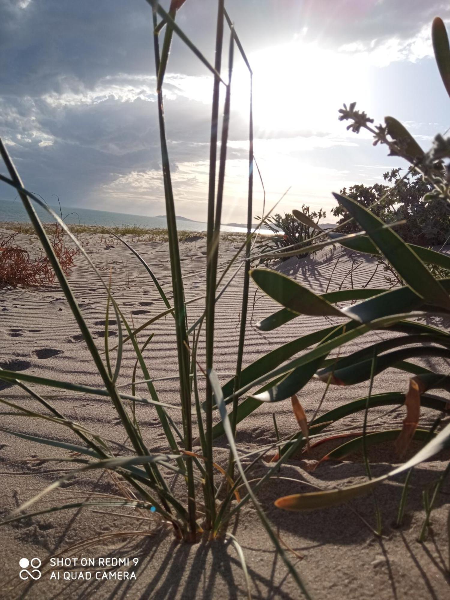 Natura E Relax Sul Mare Gela Exteriör bild